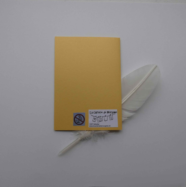 La jolie étoile de Noël