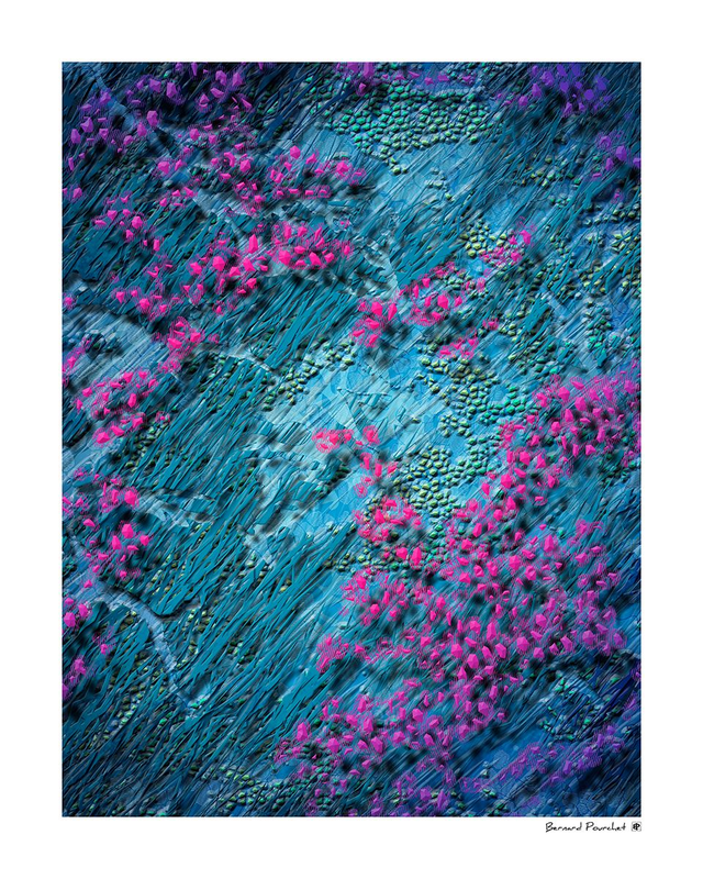 Div05 - Corallium Decrepita