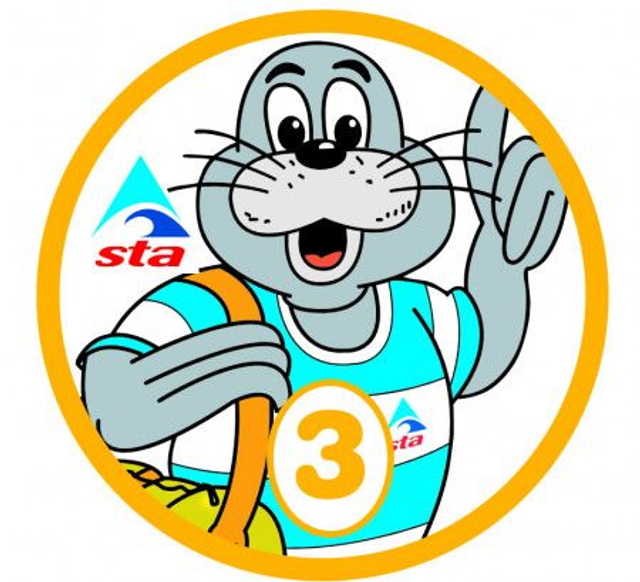 STAnley 3 - Certificate with Badge 