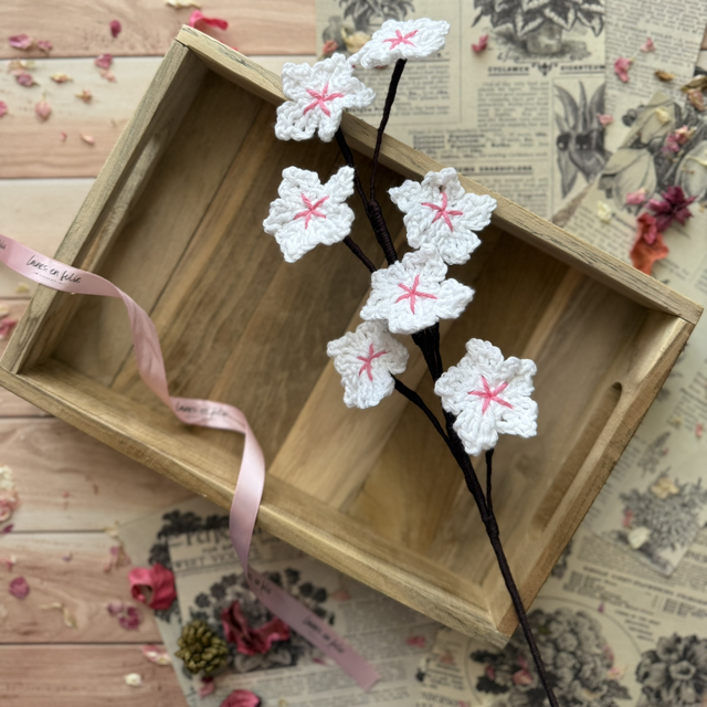 Fleurs de cerisier blanche