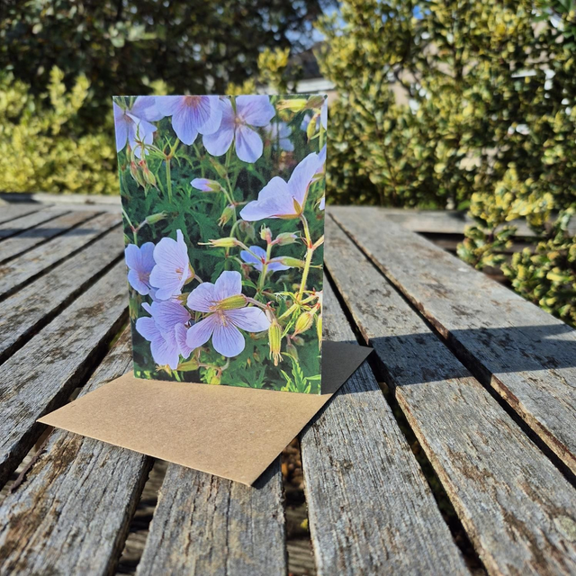 White Geranium greetings card