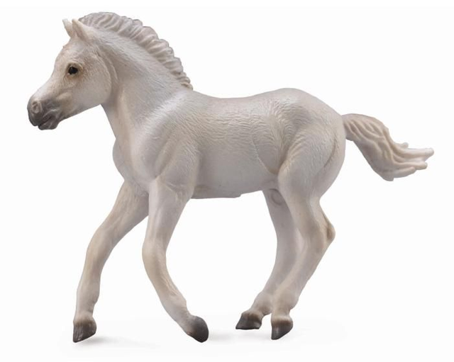 Collecta Pays du cheval >  Chevaux - Échelle 1:20    88633  Poulain Fjord Gris