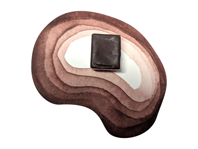 Champignon