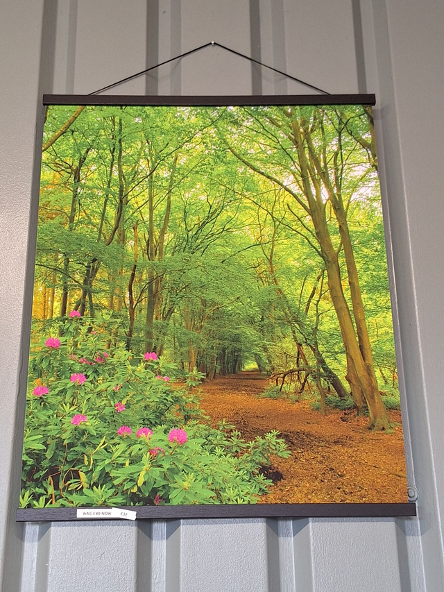 Haughmond Abbey Woods - poster print with magnetic hanging frame.