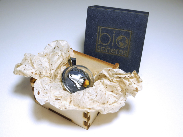 Numfor Kingfisher - one of a kind miniature diorama jewelry