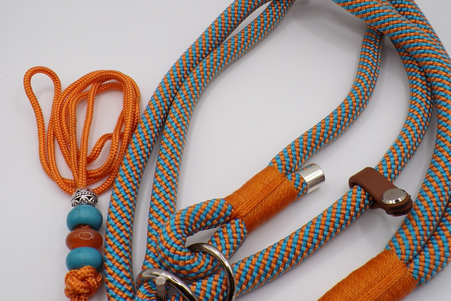 Retrieverleine „Foxy and blue“