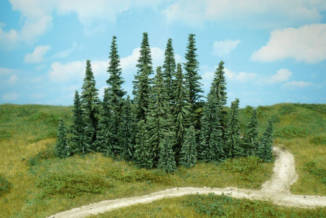 100 sapins 5-7cm héki 2230