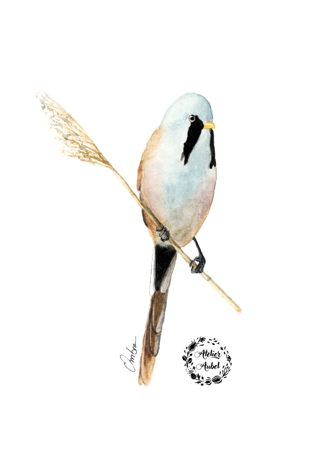 Panure à Moustaches