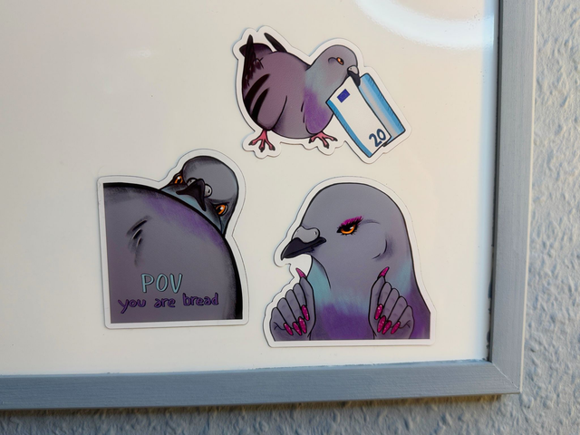 Pigeon Magnets