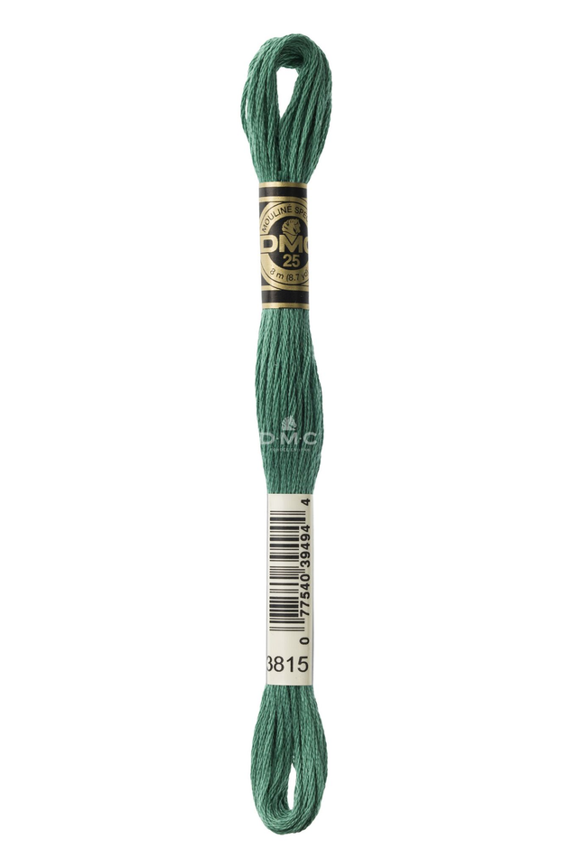 N°3815 Mouliné Spécial DMC