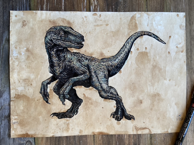 Raptor stippling 