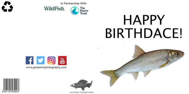 Fish Greetings Cards