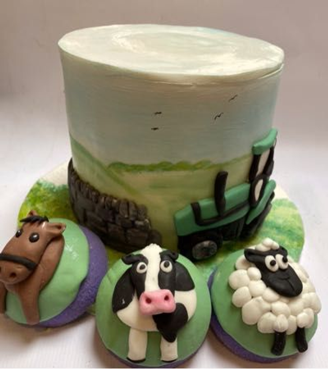 2020 - Kids Bday - Tractors And Farmyards