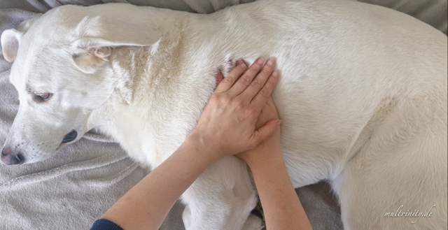 Video Erste Hilfe Kurs