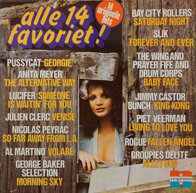 Various - Alle ** Favoriet! (LP)