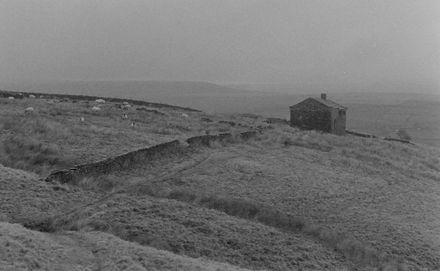 After Alice Postcards