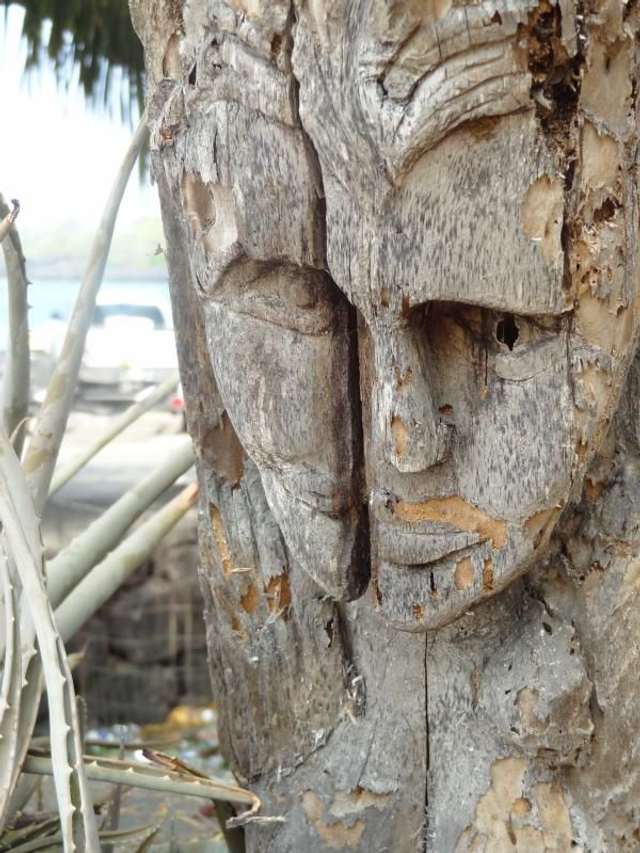 Dégagement des entités négatives / magie noire