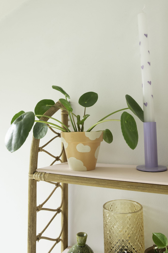 Vitamin Sky 🌤️ Plante + Pot