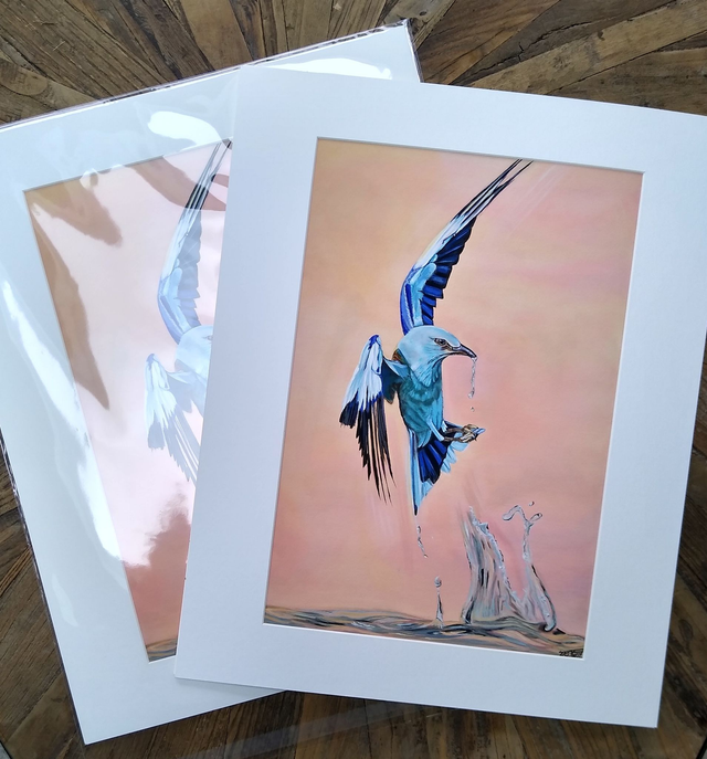 Mounted A4 &amp; A3 prints