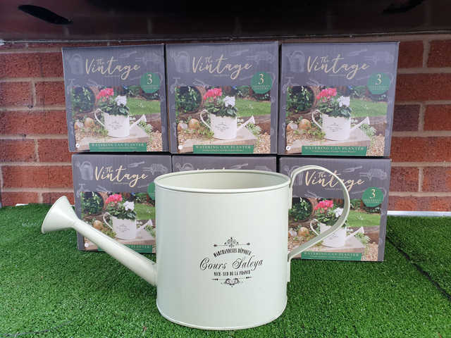 Metal Vintage Watering Can Planter - Indoor Sage