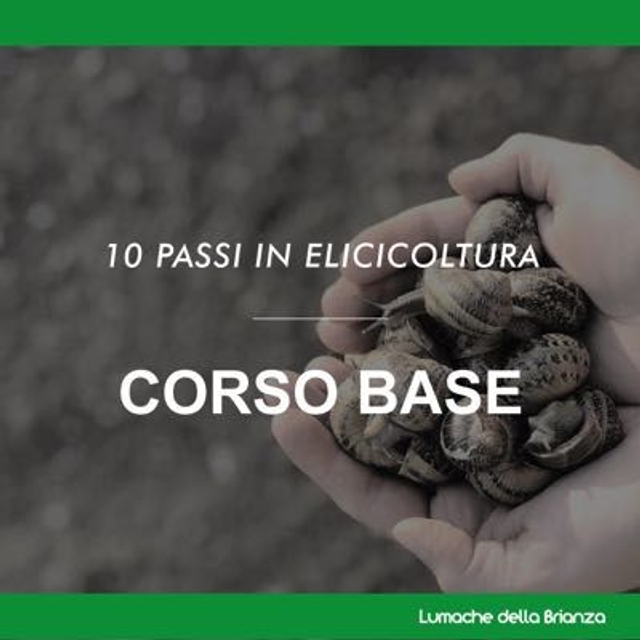 10 Passi In Elicicoltura