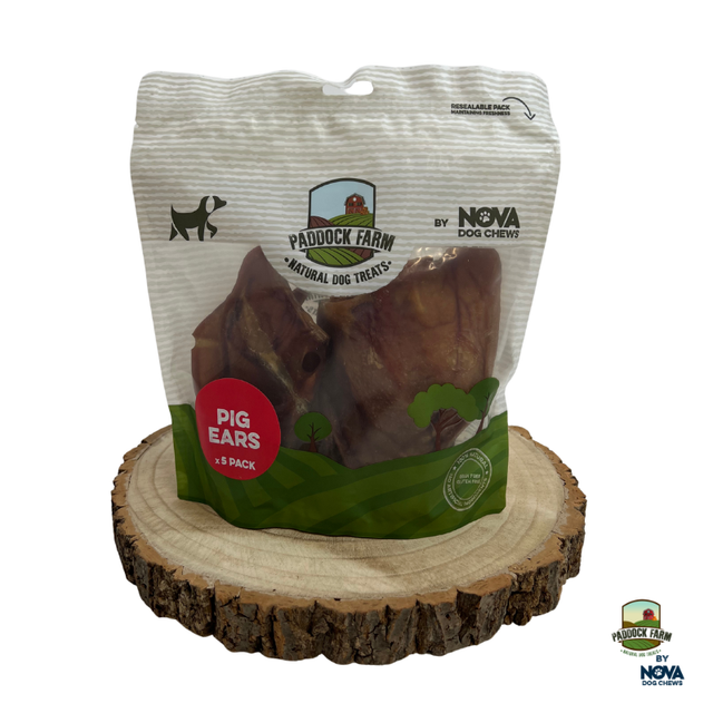 Pigs Ears (Medium) x5