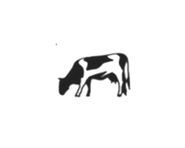 Décor vache 