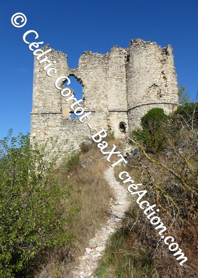 Carte postale - Paysages et divers (Ref P1180034)