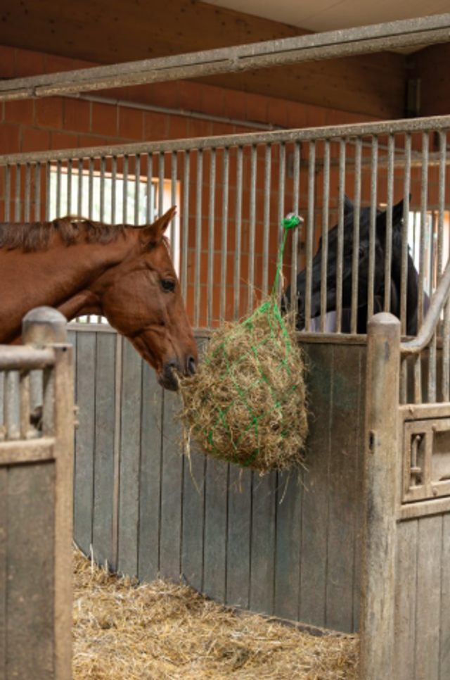 Filet a foin grandes mailles