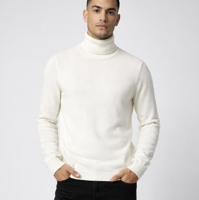 Pull col roulé slim 