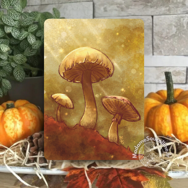 Champignons