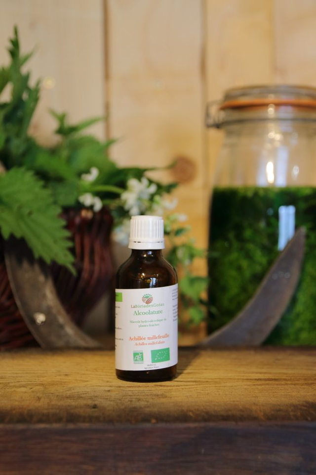 Alcoolature Mélisse