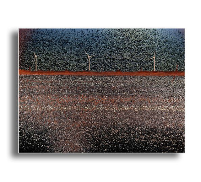 02 Nature - Nature Doesn't Sleep, 2020.