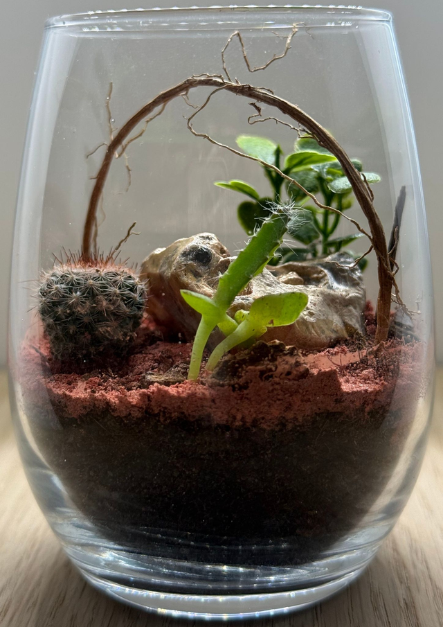 Bowo® YANA connecté Home 