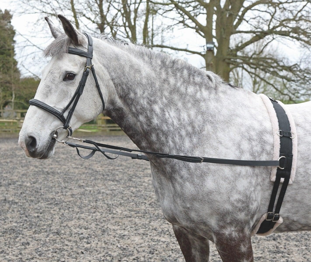 Nylon Web Side Reins