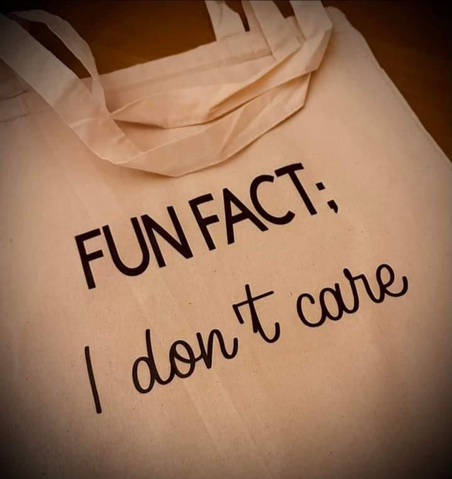Large Shopping Tote Bag - Fun Fact, I don't Care