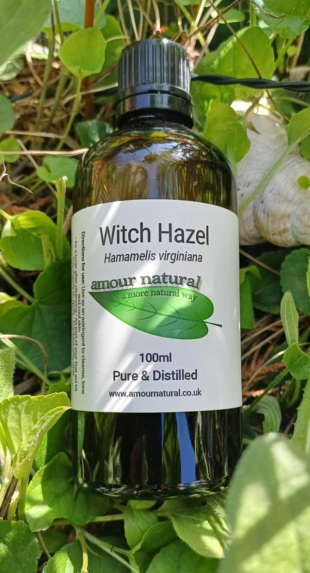 Witch Hazel