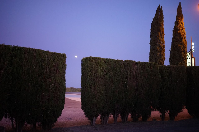 Tirage d'art. Titre : Lune pleine.