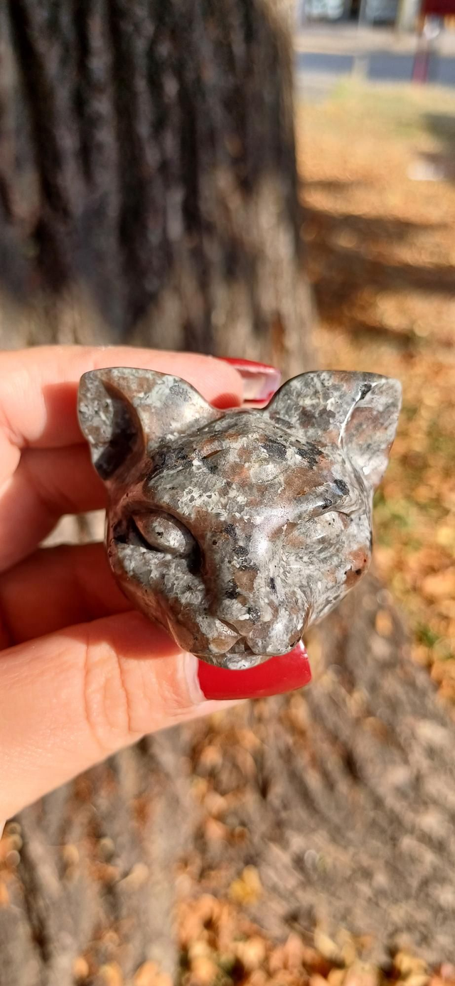 Yooperlite Third Eye Cat Head