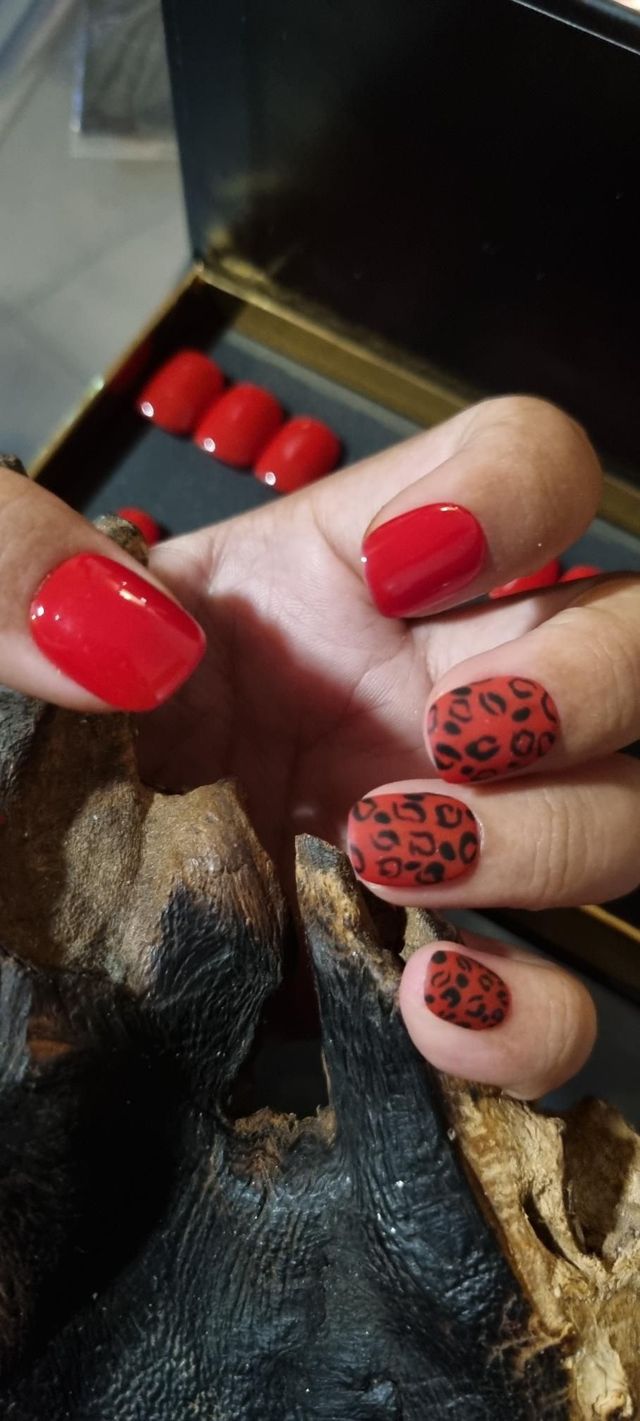 Classic réd léopard little carré xs 