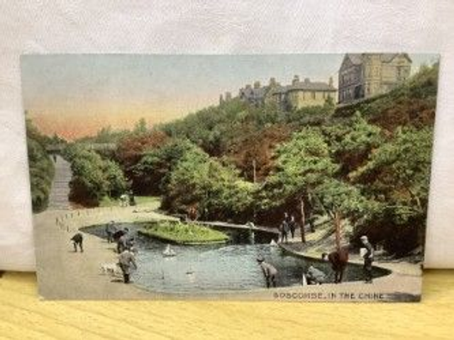 Boscombe, In The Chine, Dorset, Davidson Bros. Pictorial Post Card. Our Ref No. R352 £2.50