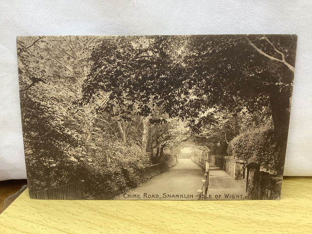 Shanklin, Chine Road, Isle of Wight, Posted 1909 The Ideal Series antique postcard. Our Ref no. R602 £2.50