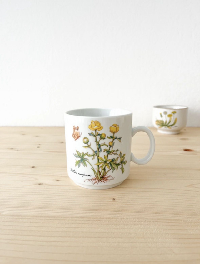 Mug Kronester de Bavaria. Allemagne