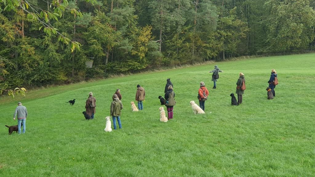 15.03.2026 11 -13:00 Uhr Dummy Schnuppertag Einsteiger/Anfänger in 64372 Ober-Ramstadt