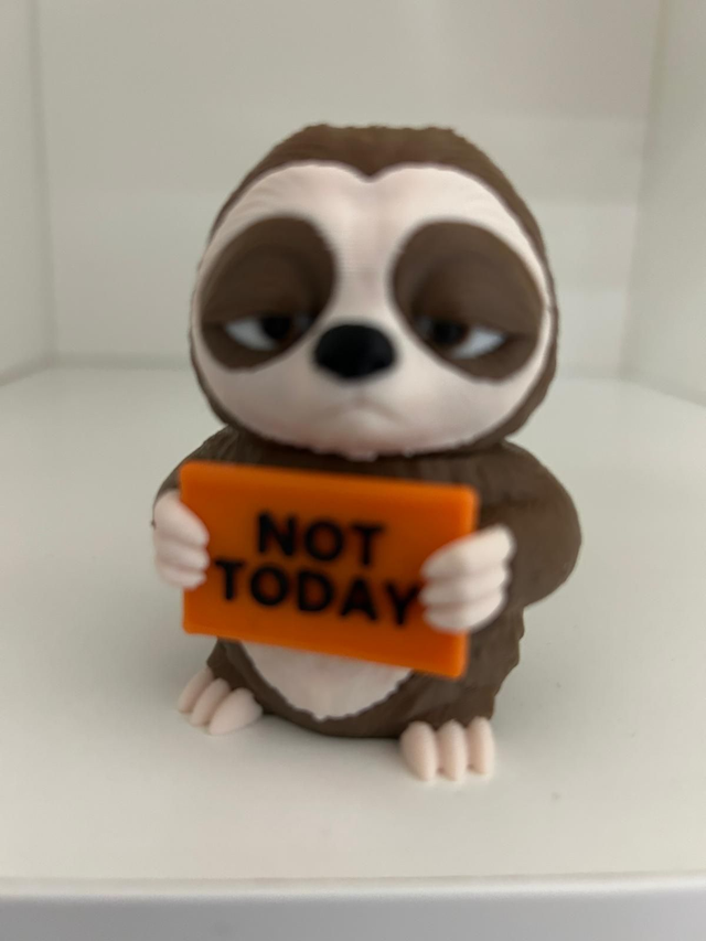 Animals With Attitude - Sloth