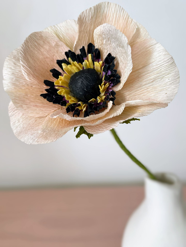 Anémone "Selma" avec son vase artisanal offert