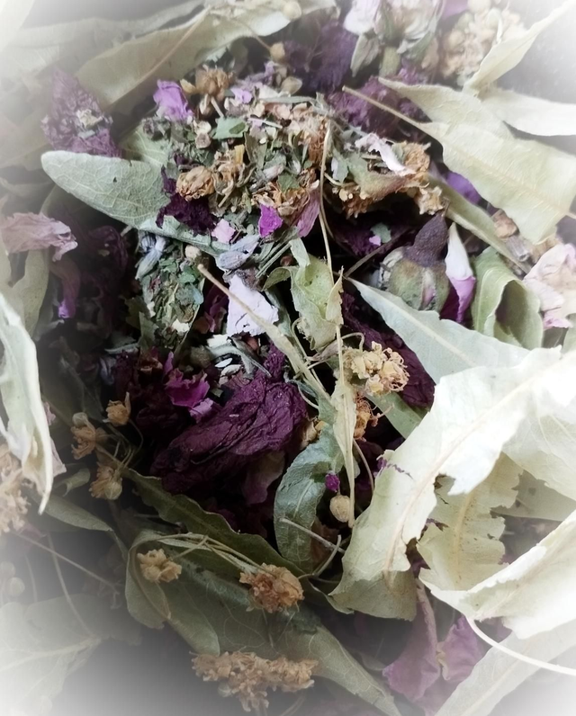 Rêves fantastiques (tisane insomnie anxiété)