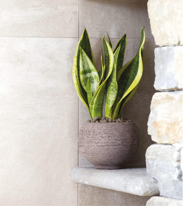 K03 . Luna sbucciata "Galestro Etrusco" 13