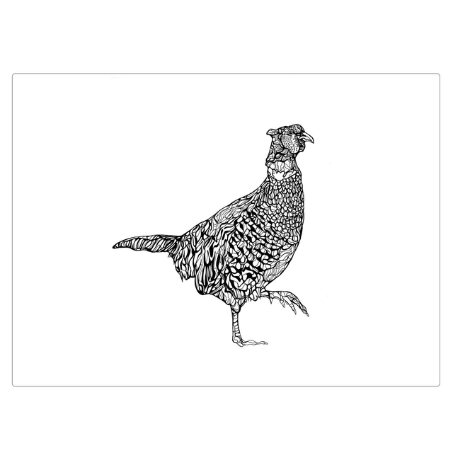 B&amp;W A3 print - pheasant