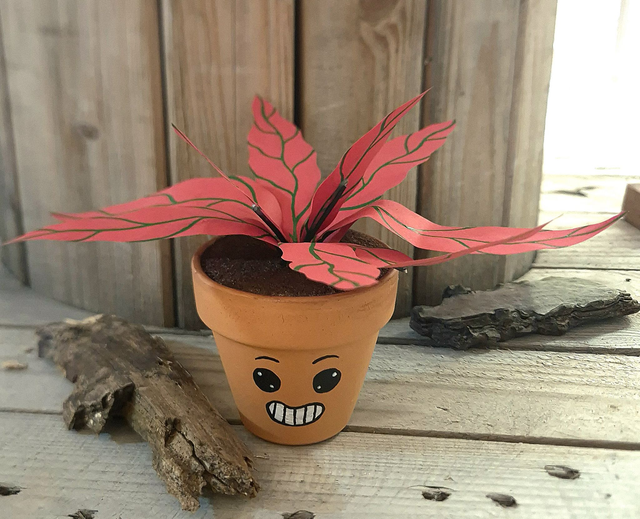 Baby plante "Smile"